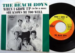 Beach Boys When I Grow Up 45 W/ Pic Sleeve 1964 Surf E566