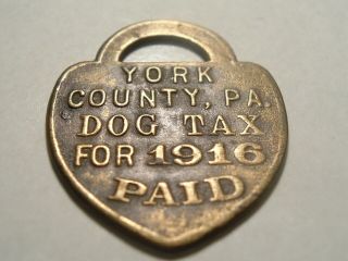 Antique Hard To Find 103 Years Old 1916 Dog Collar Tag License York Co Pa