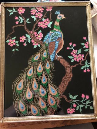 Vintage Framed Peacock On Branch Hand Painted Black Velvet
