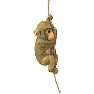 16 Inches Hanging Baby Monkey Chimpanzee Statue For African Flair Garden Style 4