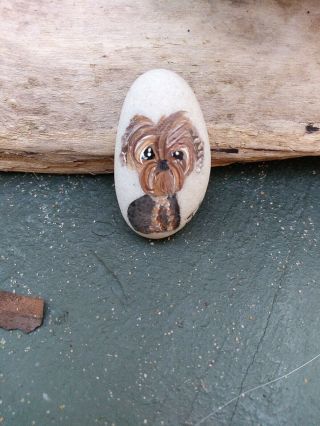 Hand Painted Dog Art Yorkie Yorkshire Terrier Tiny Stone Cute