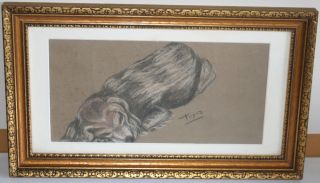 Antique Animal Chalk Painting Of A Sleeping Dog