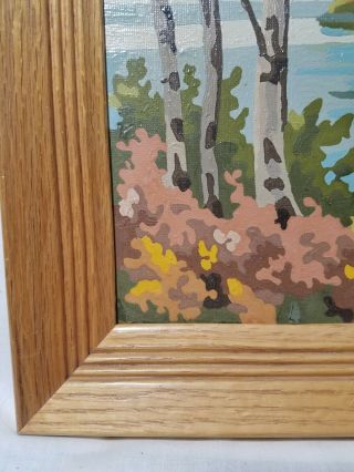 Vintage Paint By Number 16x12 Woods Mountain Lake Cottage Scenic Framed Finished 5