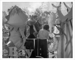 Rare H.  R.  Pufnstuf 8 X10 Tv Photo 1 Sid & Marty Krofft Jack Wild As Jimmy