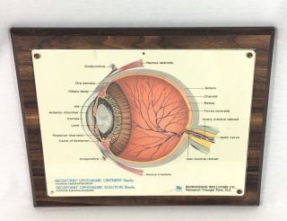 Anatomy Of The Eye Doctor Office Wall Plaque Wood Mount Neosporin Display Ad
