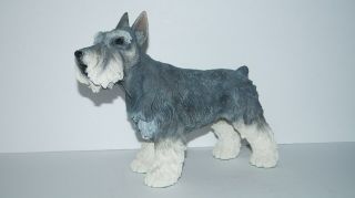 Large 9.  5 Inch Tall Danbury Miniature Schnauzer Standing Dog Figurine
