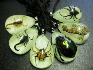 36pcs Black Scorpion&spider&dragon&green Beetle Glow Colorful Cool Pendant