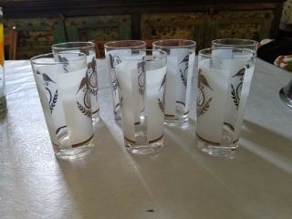 Seven Vintage Mid - Century Frosted White/gold Drinking Glasses/barware/eagle