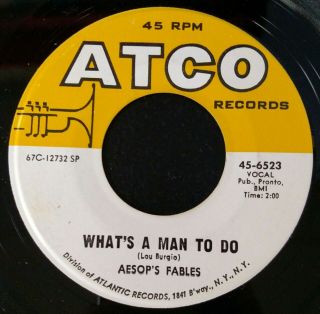 Aesop ' s Fables Take A Step / What ' s A Man To Do 1967 USA 45 Northern Soul 2