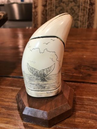Scrimshaw Whale Tooth Figurine - Gh Cook Company - Fine Art Sculpture 4.  5” Tall