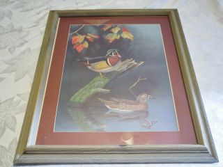 Early Watercolor Art Duck Waterfowl Painting Ronald Louque 