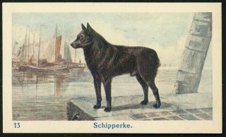 1930 Schipperke Dog On The Quay Coffee Trade Card Sailing Ships
