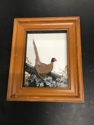 Joseph Q Whipple Shadow Box 3d Audubon Painting Abercrombie And Fitch Pheasant