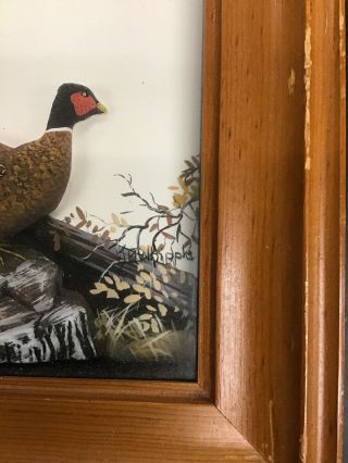 Joseph Q Whipple Shadow Box 3D Audubon Painting Abercrombie And Fitch Pheasant 3