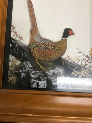 Joseph Q Whipple Shadow Box 3D Audubon Painting Abercrombie And Fitch Pheasant 4