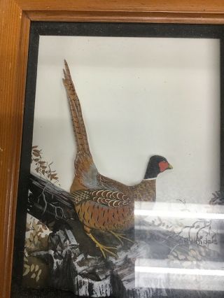 Joseph Q Whipple Shadow Box 3D Audubon Painting Abercrombie And Fitch Pheasant 5