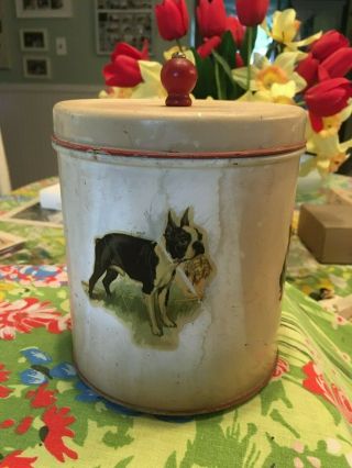 Vintage Kitchen Tin With Boston Terrier Dogs