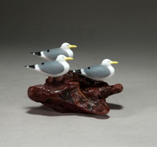 Seagull Trio Sculpture Direct From John Perry 6in Long Statue Hand Painted