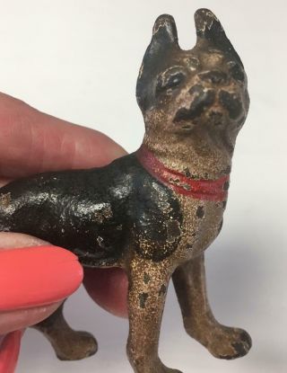 Antique Cast Iron Boston Terrier Paperweight Figurine Dog