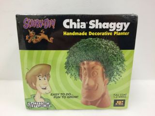 Scooby - Doo Shaggy Chia Pet Decorative Planter Cartoon Network Old Stock