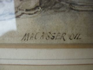 Very old advertisement for MACASSER OIL by artist Rowladson 5