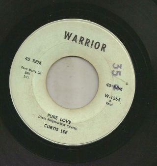 Rockabilly Bw Teen Doowop - Curtis Lee - Pure Love - Hear - 1959 Warrior