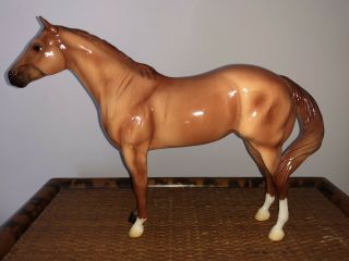 Breyer Horse Elcr Benefit Model 2010 Glossy Lady Phase Mold 1428