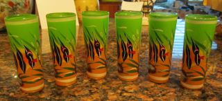 6 Set Hand Painted Tropical Fish Frosted Green 2.  0 Shot Glass One Of A Kind