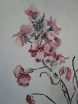 Vtg watercolor floral Painting listed CA artist Alice Hatch Sweet peas 3