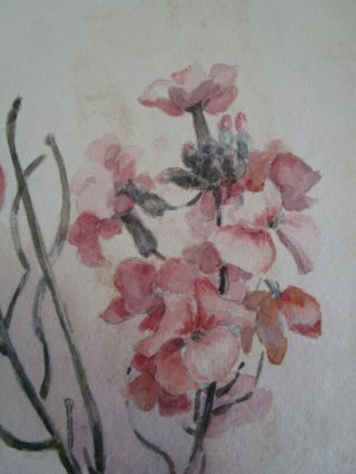 Vtg watercolor floral Painting listed CA artist Alice Hatch Sweet peas 4