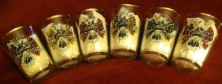Vintage Scottish Clan Decorated 2.  5 " Shot Glasses W/gold Trim Crests Set Of 6