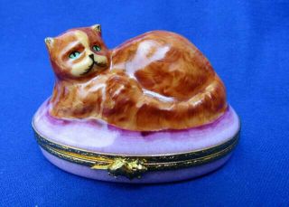 Large Vintage Limoges Peint Main Porcelain Grumpy Cat Hinged Covered Trinket Box