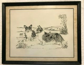 Vintage Welsh Corgi Dog - Sandi Hutchins Art Sketch Print - 33/78 - C.  W.  C.  C.  A.  1980