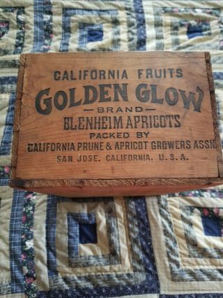 Vintage Fruit Crate Wood Box California Fruits Golden Glow Prune/apricots