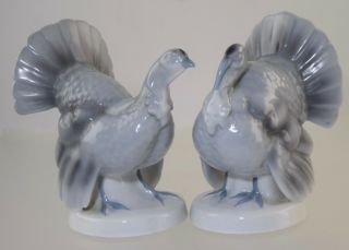 Gerold Porzellan Bavaria Porcelain Wild Turkey Gobbler & Hen Figurines