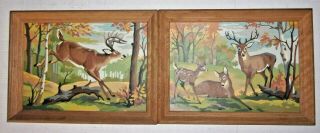 Vintage Framed Paint By Numbers - " Deer Haven I & Ii "