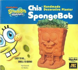 Chia Pet Decorative Planter Sponge Bob Square Pants Spongebob Nos