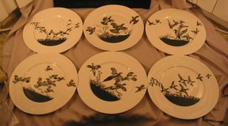 Set Of 6 Dinner Plates Game Birds By Lynn Bogue Hunt