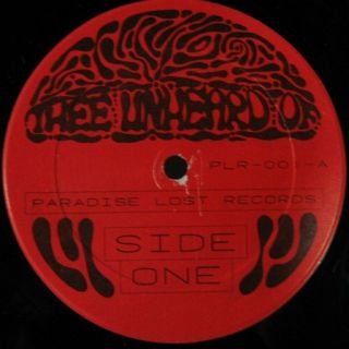 THEE UNHEARD OF 235/500 Michigan Garage & Psych Underdogs Cherry Slush vinyl LP 3