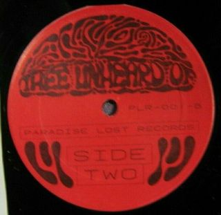 THEE UNHEARD OF 235/500 Michigan Garage & Psych Underdogs Cherry Slush vinyl LP 4