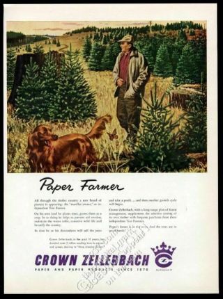 1954 Irish Setter And Paper Farmer Art Crown Zellerbach Vintage Print Ad