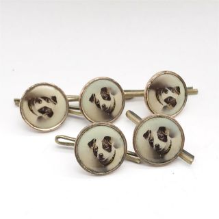 Antique Victorian Enamel Dogs Dog Buttons Jack Russell Terrier Very Rare Set