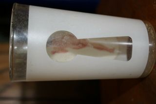 Vintage keyhole naked lady collectors bar glass 4 1/2 inches - A1 2