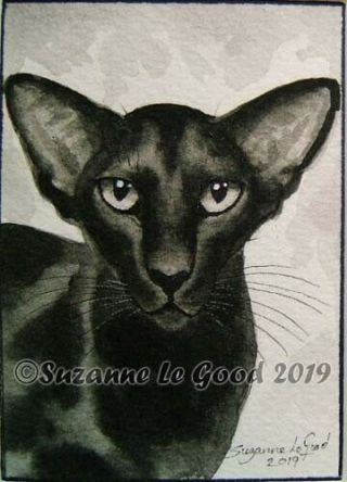 Oriental Black Cat Art Painting Aceo Ebony Mounted By Suzanne Le Good