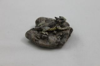 2 " Tom Mccain Horny Toad Rock Paperweight Figure Statue Sculpture Lizard 2000