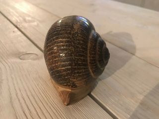 Vintage 70 ' s French Ceramic Pottery Snail Decor gastropod figurine mollusk 6