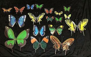 Stunning (18) Hand Made Butterflies Made By Mexican Artist Alas De Papel