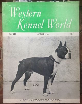 Rare 1936 Western Kennel World Boston Terrier Cover And Feature
