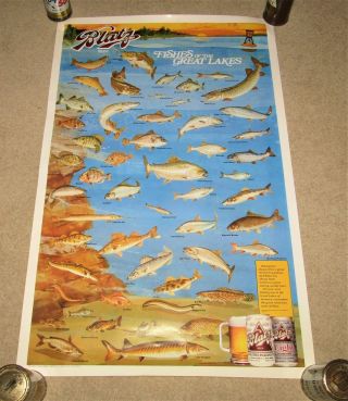 Blatz Beer 1991 Fishes Of The Great Lakes Wall Poster