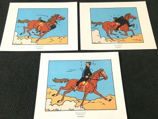 Set Of 3 Official Tintin Comic Strip Prints: Haddock Horseriding Herge Poster
